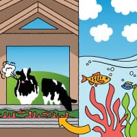 Reducción de las emisiones entéricas: Cómo una nueva dieta para nuestras vacas puede ayudar a combatir el cambio climático