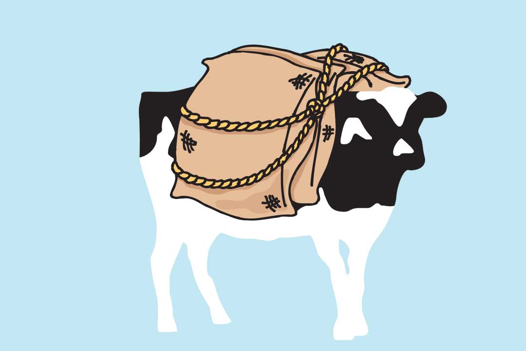 Woodie con sacos en la espalda